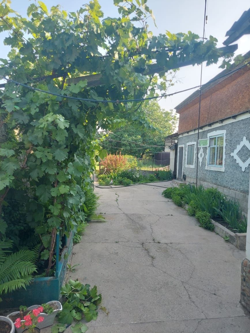 Продается Дом в центре Каскелена с большим участком