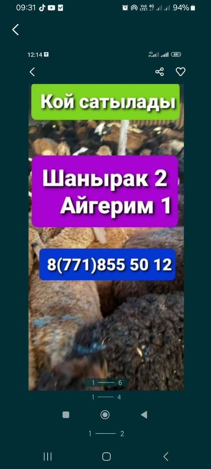 Кой Бараны  Имеется быстрый Доставка г А
