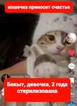 Отдам в добрые руки
