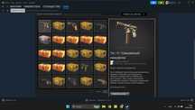продам аккаунт steam с CS 2 prime + скины на 32000 тг есть AWP Неонуар