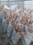 Дрова в мешках 1200тг