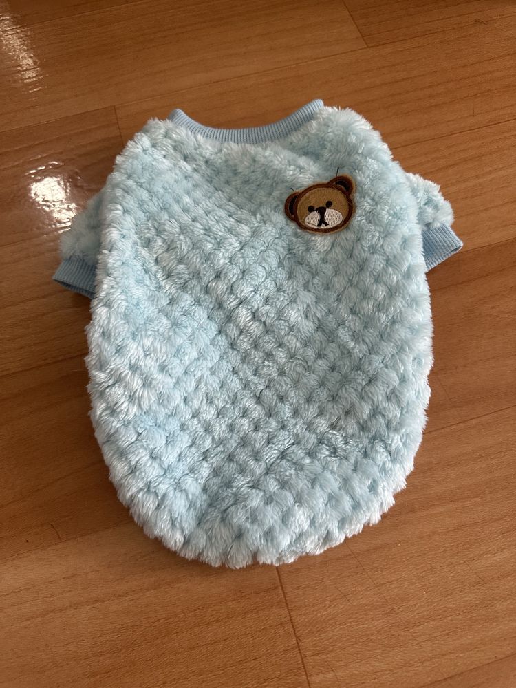 Одежда для кошек