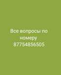 Продам черную телочку