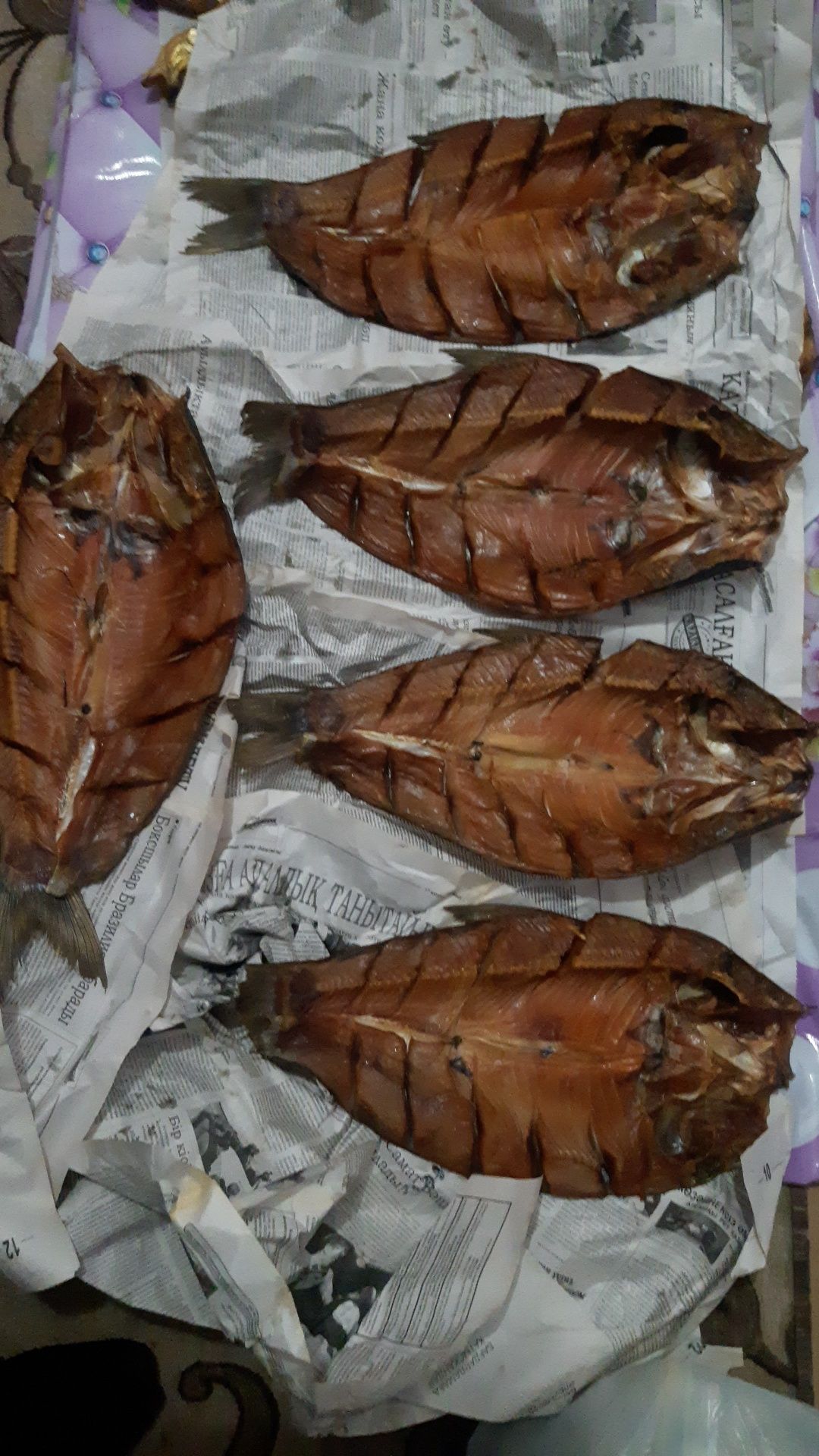 Капченный Толстолоб,Жерих