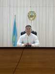 Сдача налоговой отчетности, справки с ЦОН