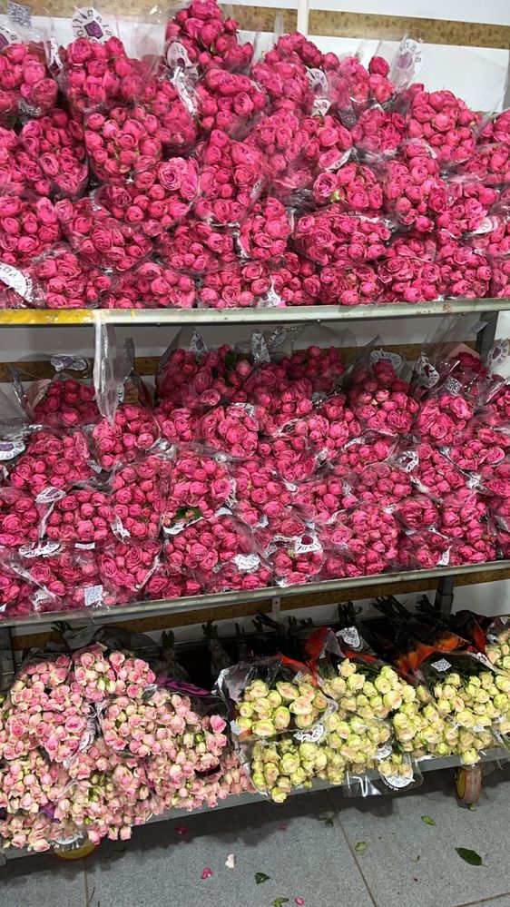 Пионы Пионы Пионы цветы букеты