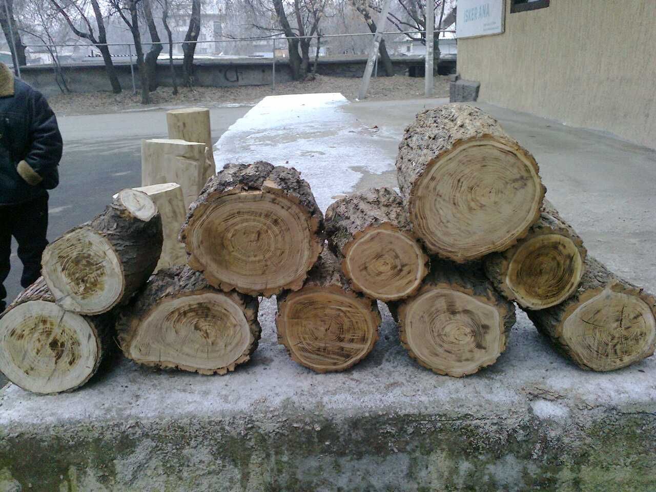пень пенек колода бревно полено чурка
