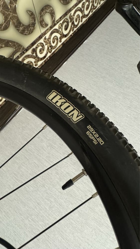 Giant talon 3 2021
