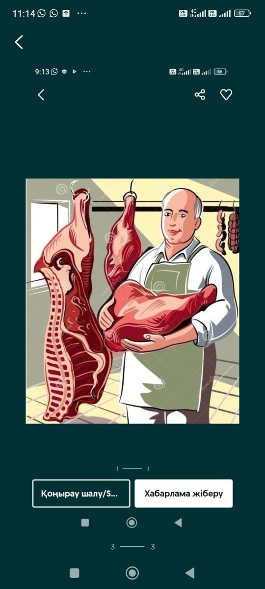 Кой соиып беремиз