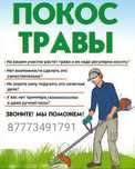 Покос травы бензотриммером