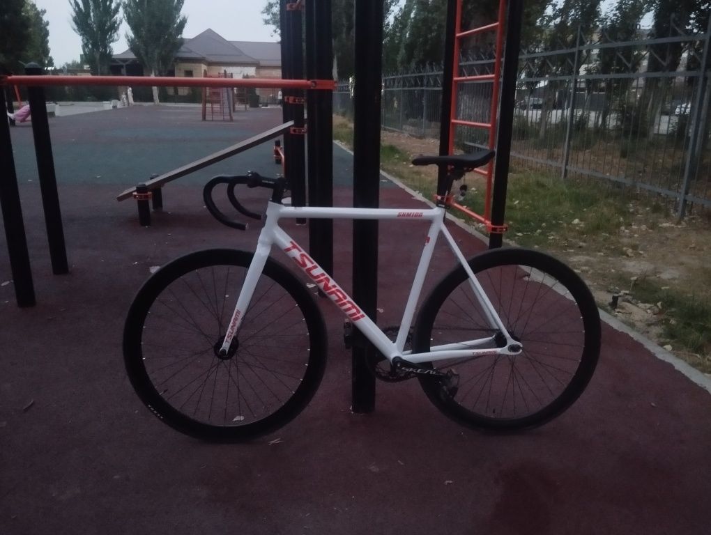 Fixed gear tsunami snm100