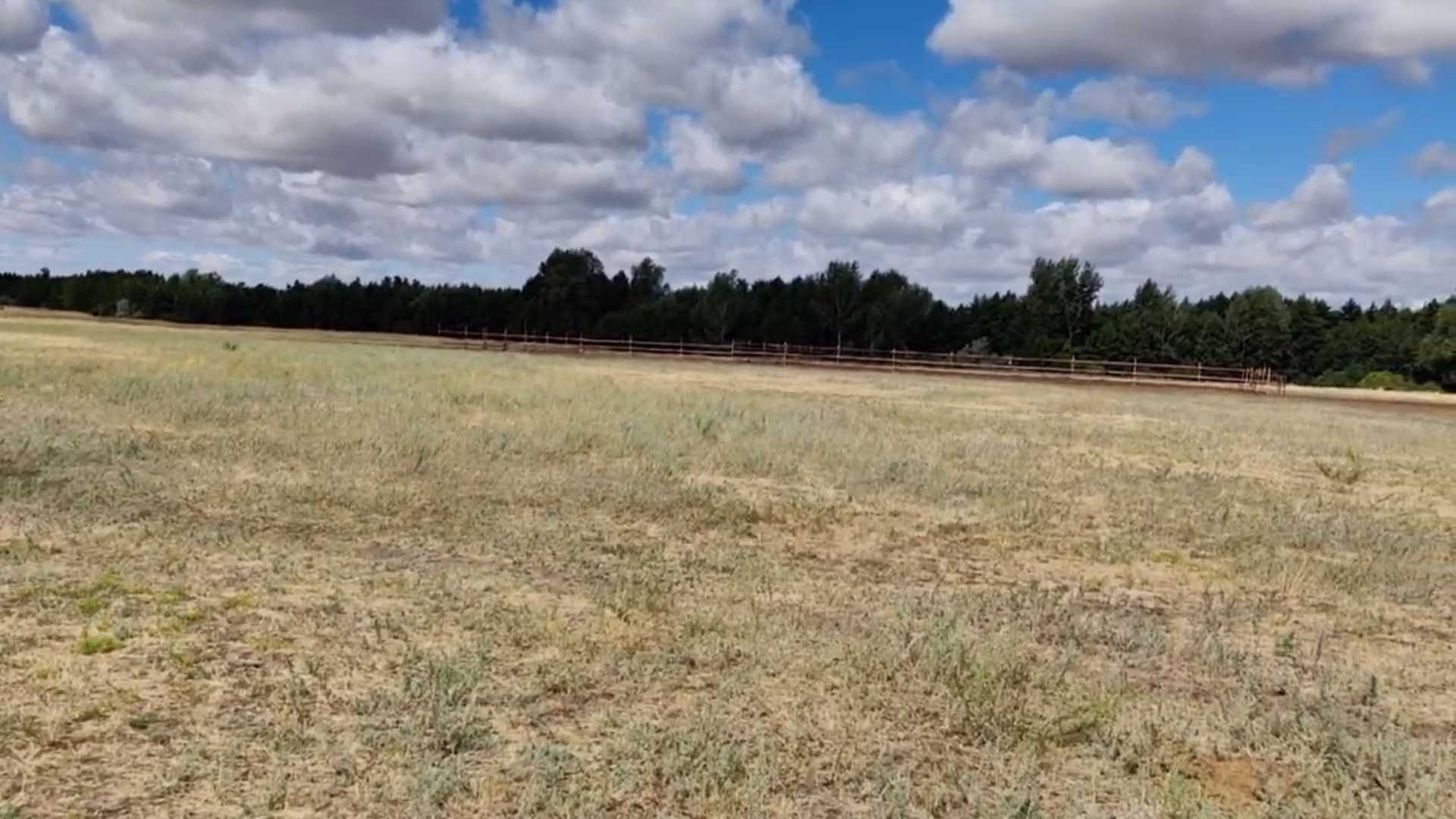 Продаётся Крестьянское хозяйство 900 Га