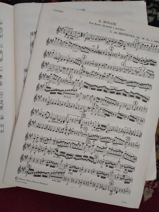 Бетховен Соната Нотная книга для скрипки и пианино