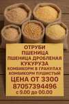 комбикорм, отруби, пшеница продам