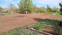 Продам дачу 10 соток. С/о Факел. НЕ ЗАТАПЛИВАЕТСЯ.