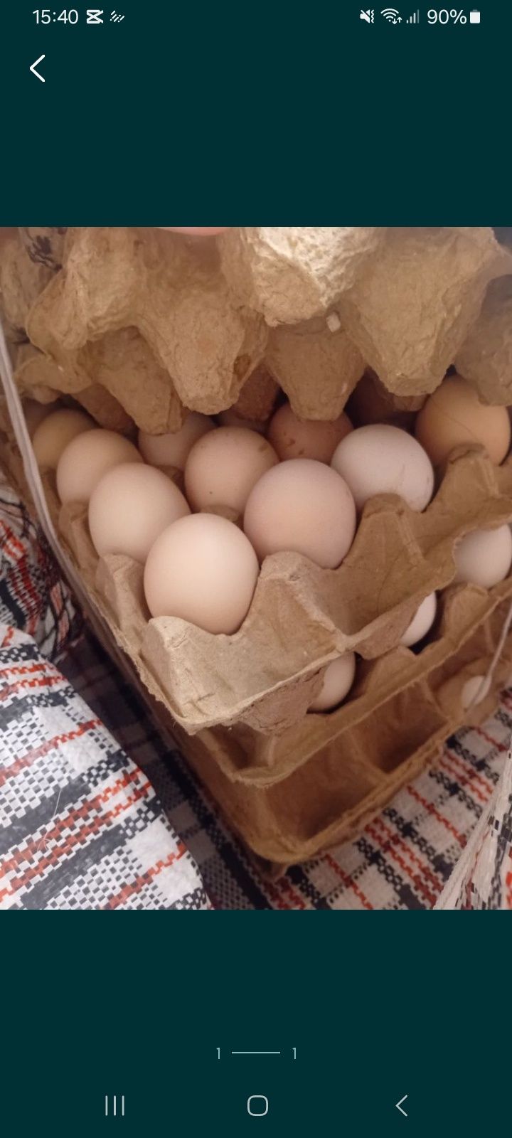 Продам домашние яйца