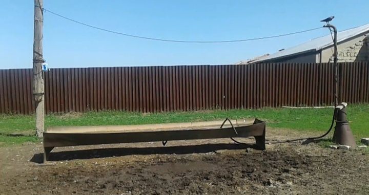 Фазенда, Ферма, Откорм площадка