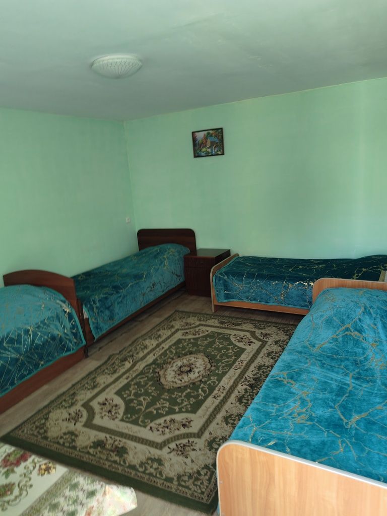 Сдам домики в Боровом