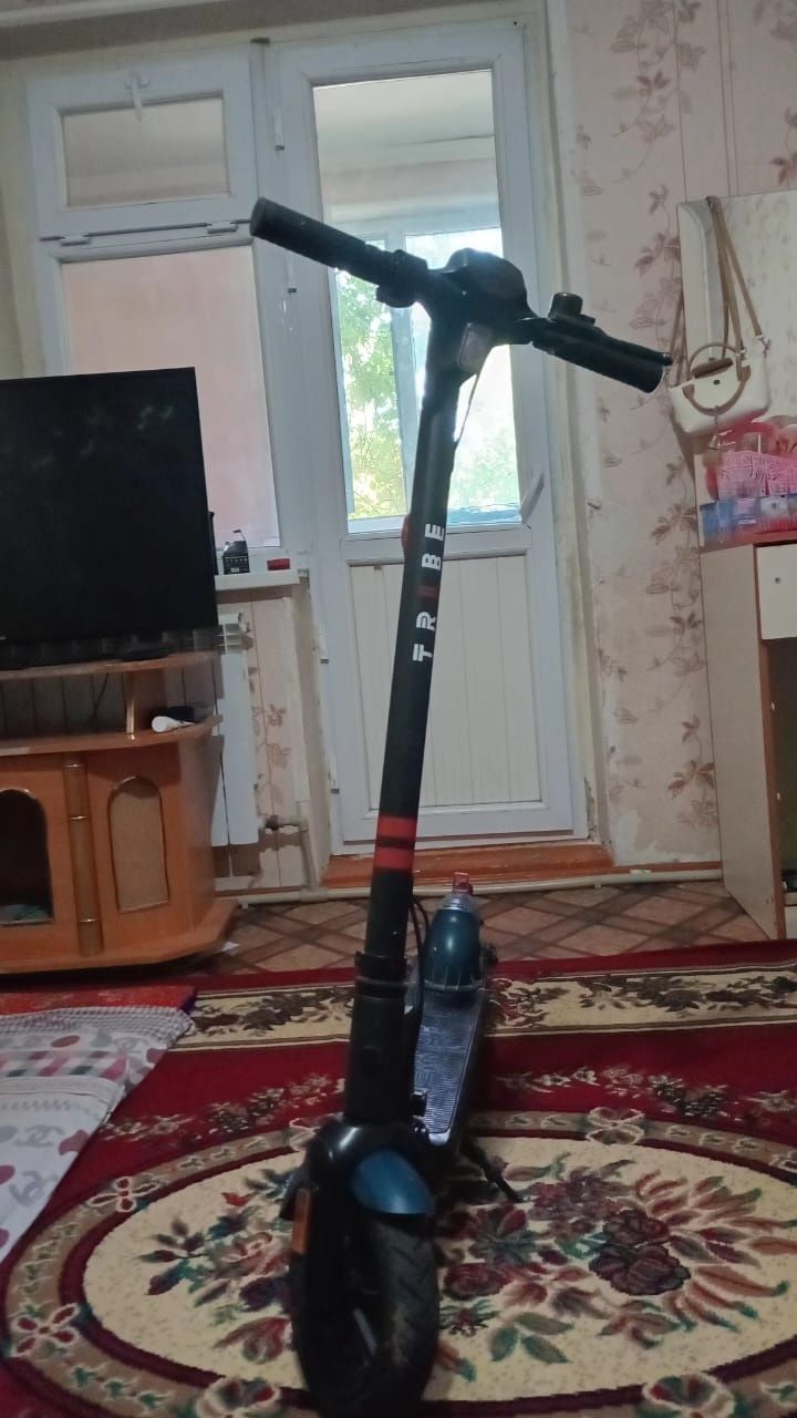 Электронный самкат