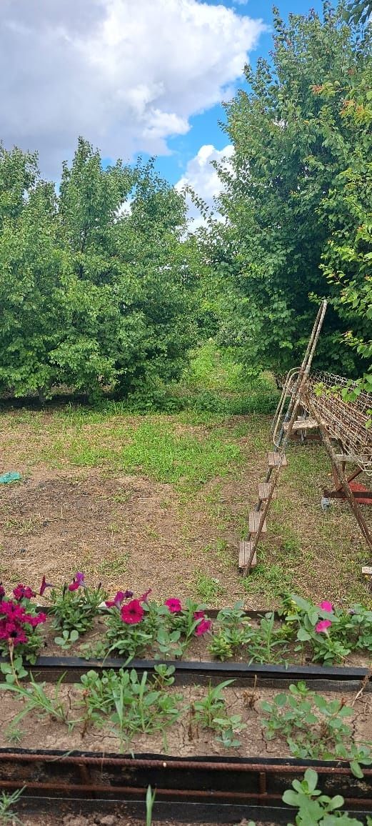 Продаётся дачный участок 12 соток в мкр. Водников-2. Дом 100 м²,