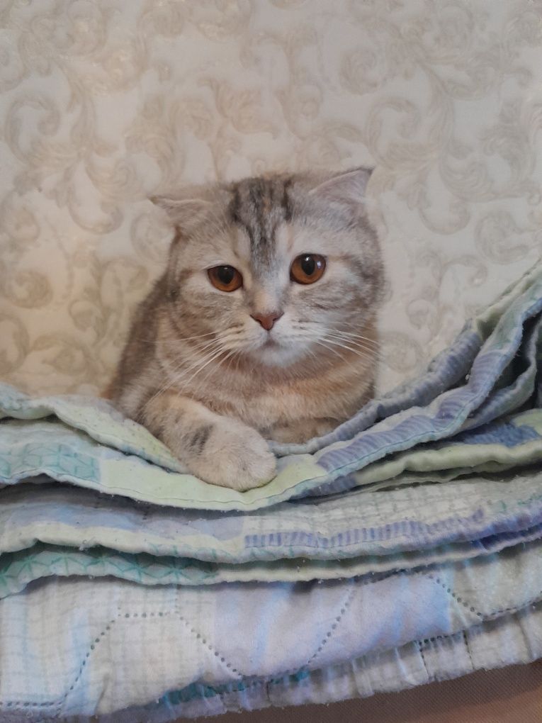 Вязка  не продоём