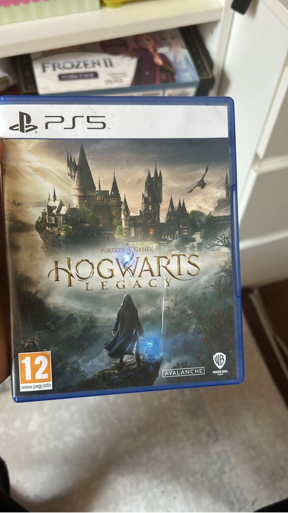 Hogwarts Legacy Ps5