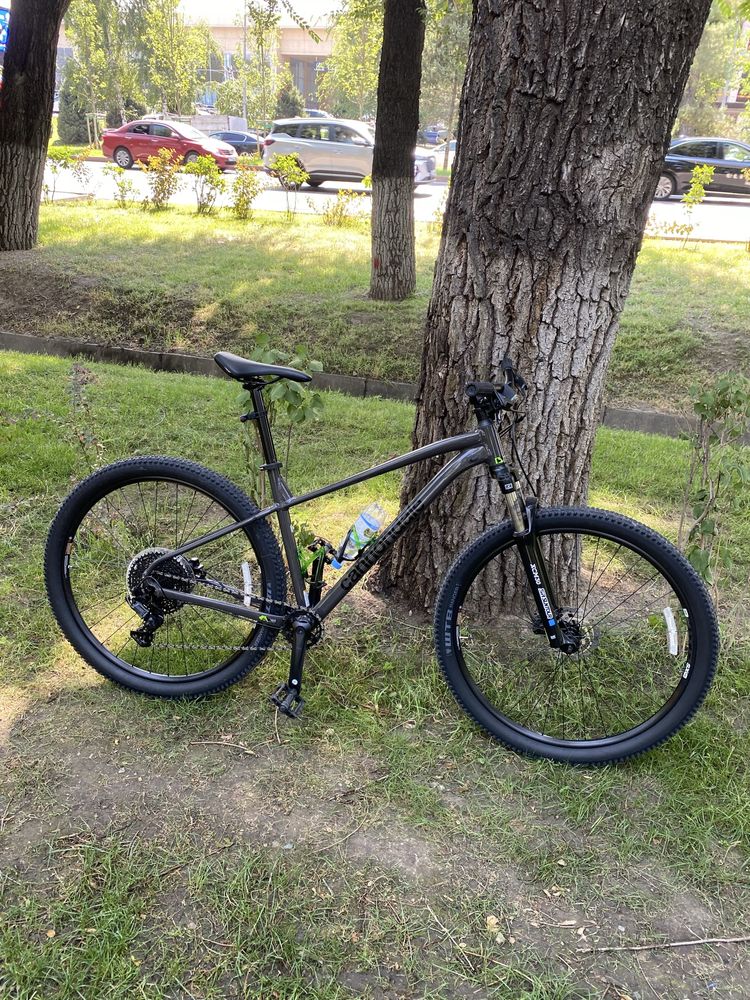 Cannondale trail 5 2024