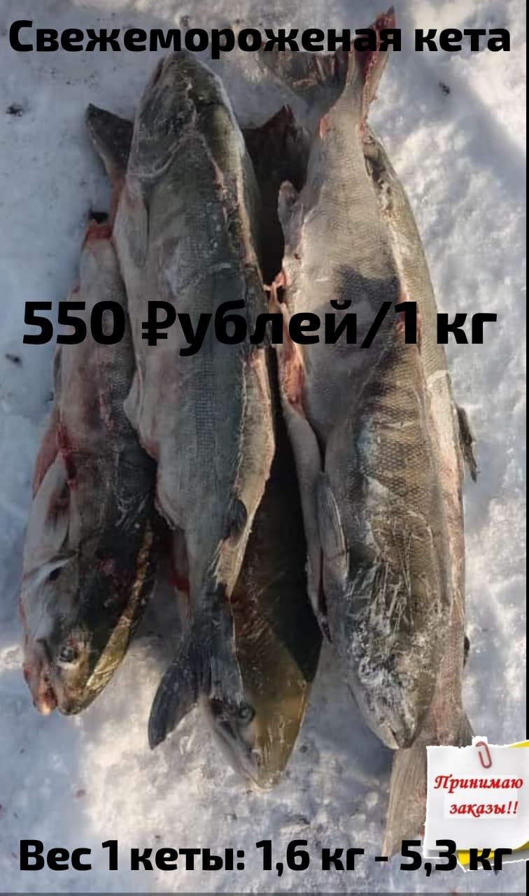 Свежемороженая кета и наборы ухи