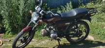 Альфа racer 125кубов