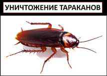 Дезинфекция,Дезинсекция,Дератизация