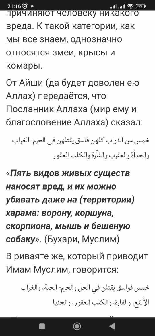 КРЫСКАС-Средство-Яд для уничтожение мышей, крыс N1 РК. Для дератизации