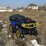 Yamaha grizzly 700