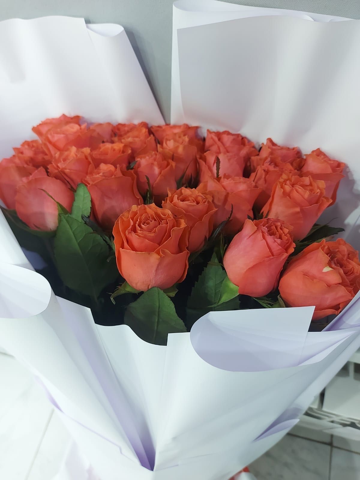 25 метровых роз свежие