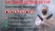 Уничтожение насекомых. Клопы, тараканы, блохи и т.д