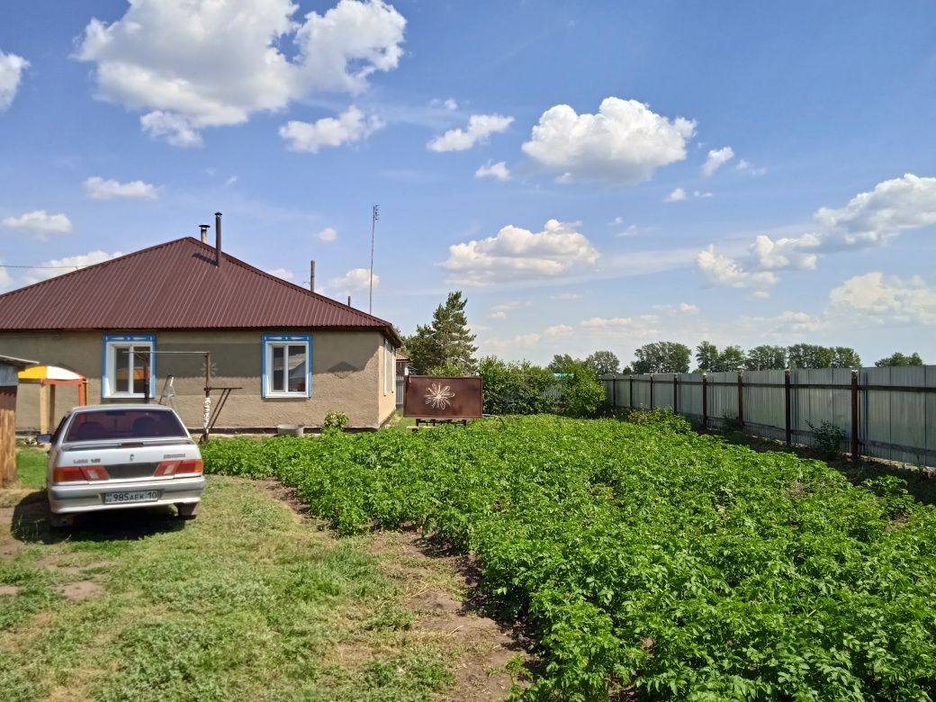 Продам частный дом (особняк) п.Владимировка