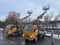 Аренда Автовышки, Автовышка Кобра АГП