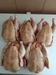 Продаются мясо домашнего бройлерного цыплёнка.