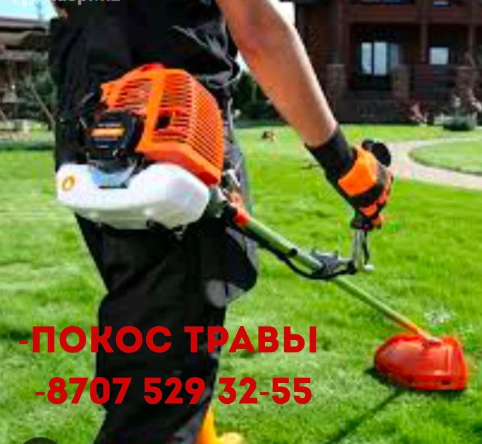 Покос травы/ шөп орамыз