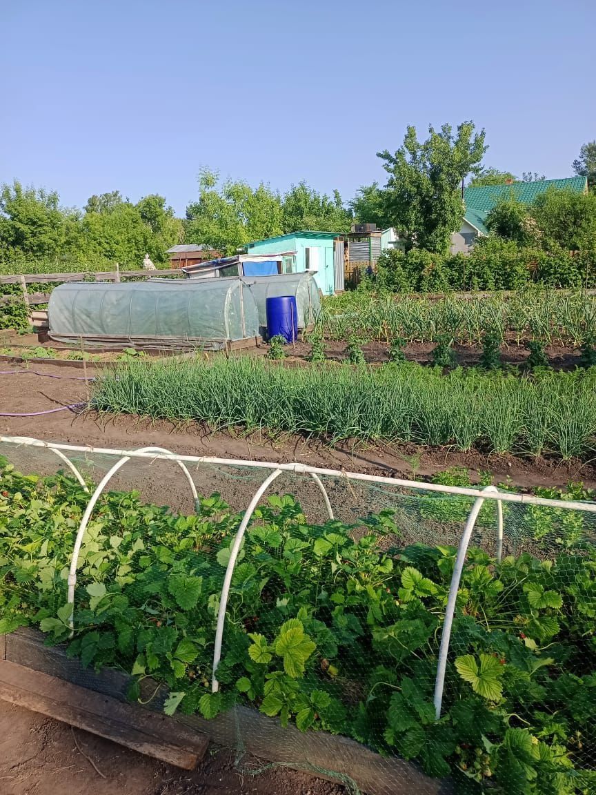 Дом,дом загородный,дом