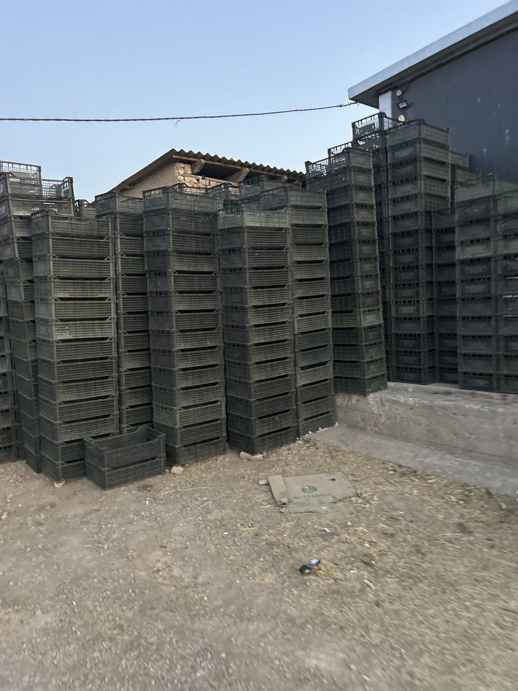 Продается ящик пл