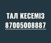 Спил деревьев. Тал кесу