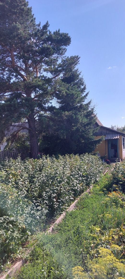 Продаётся дача в районе бывшей шахты Абайская