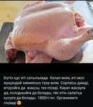 Целые куры, бүтін құс еті сатылады