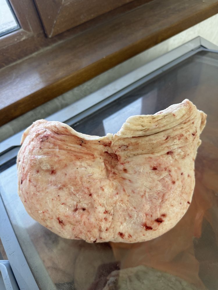 Құйрық май сатылады