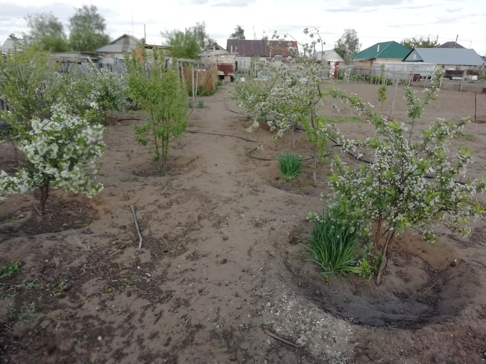 Продам или обменяю на квартиру в городе  Павлодаре  4-х комнатный дом