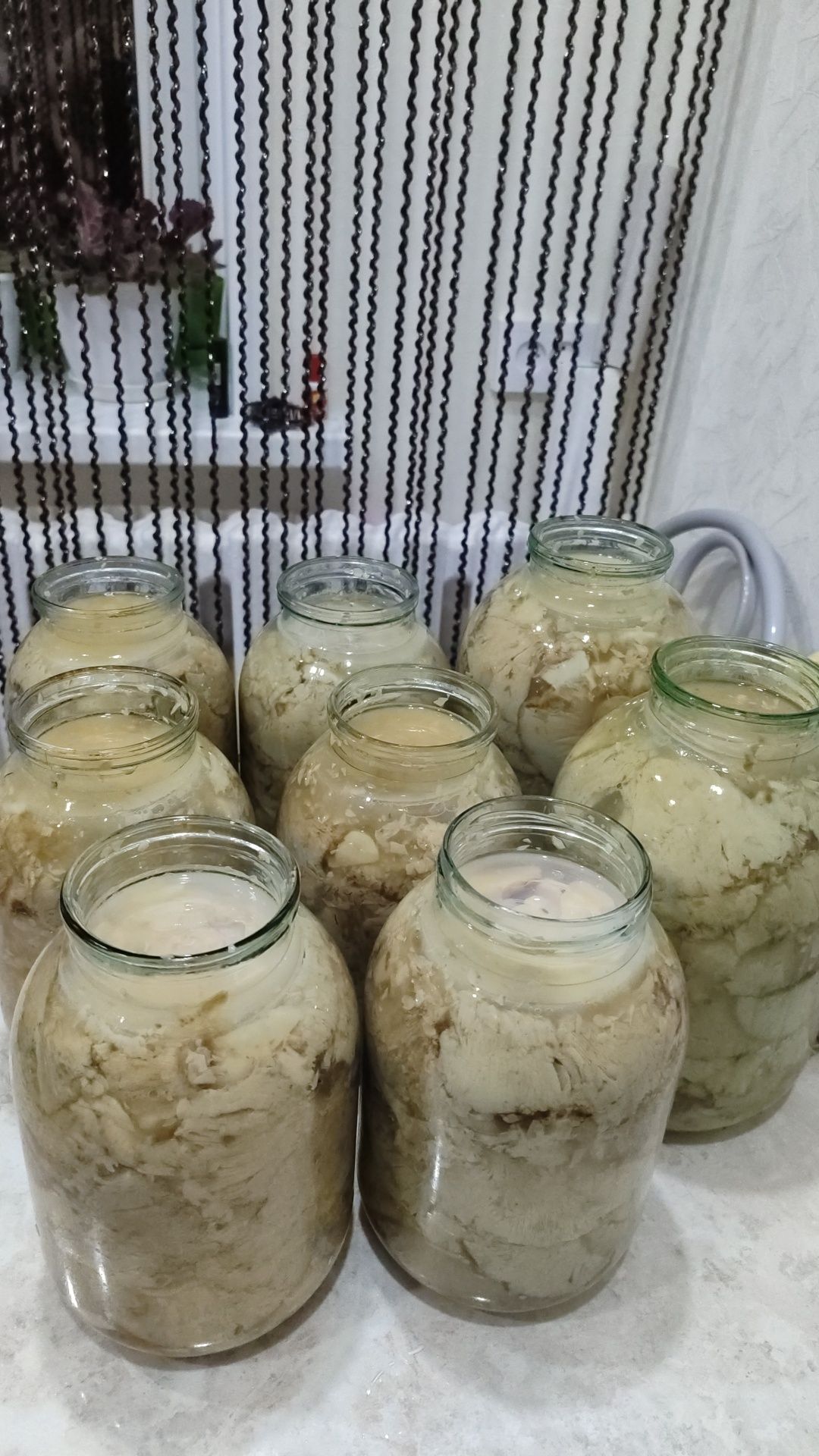 Продам соленые грузди