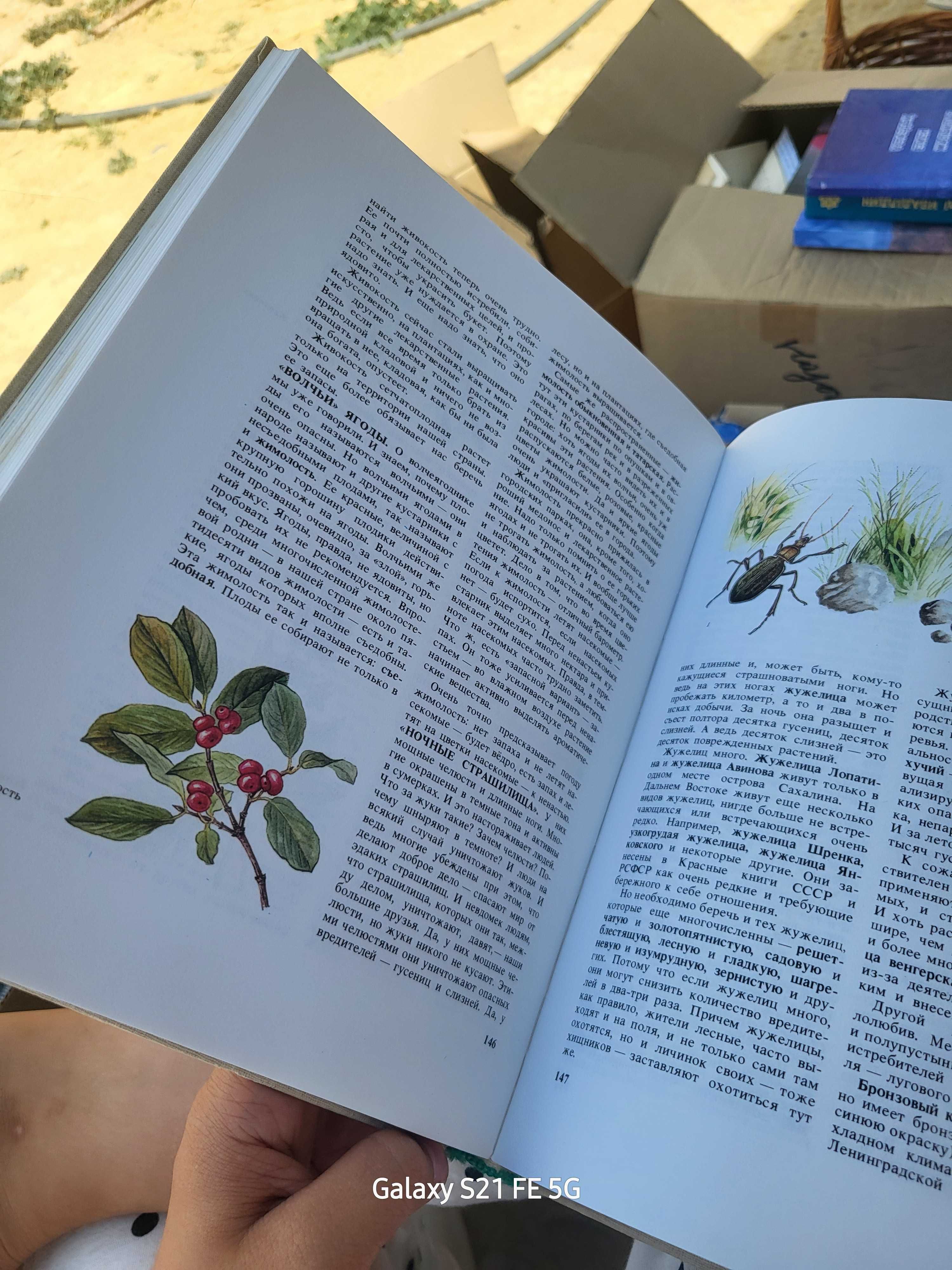 книга природы автор Дмитриев Ю.