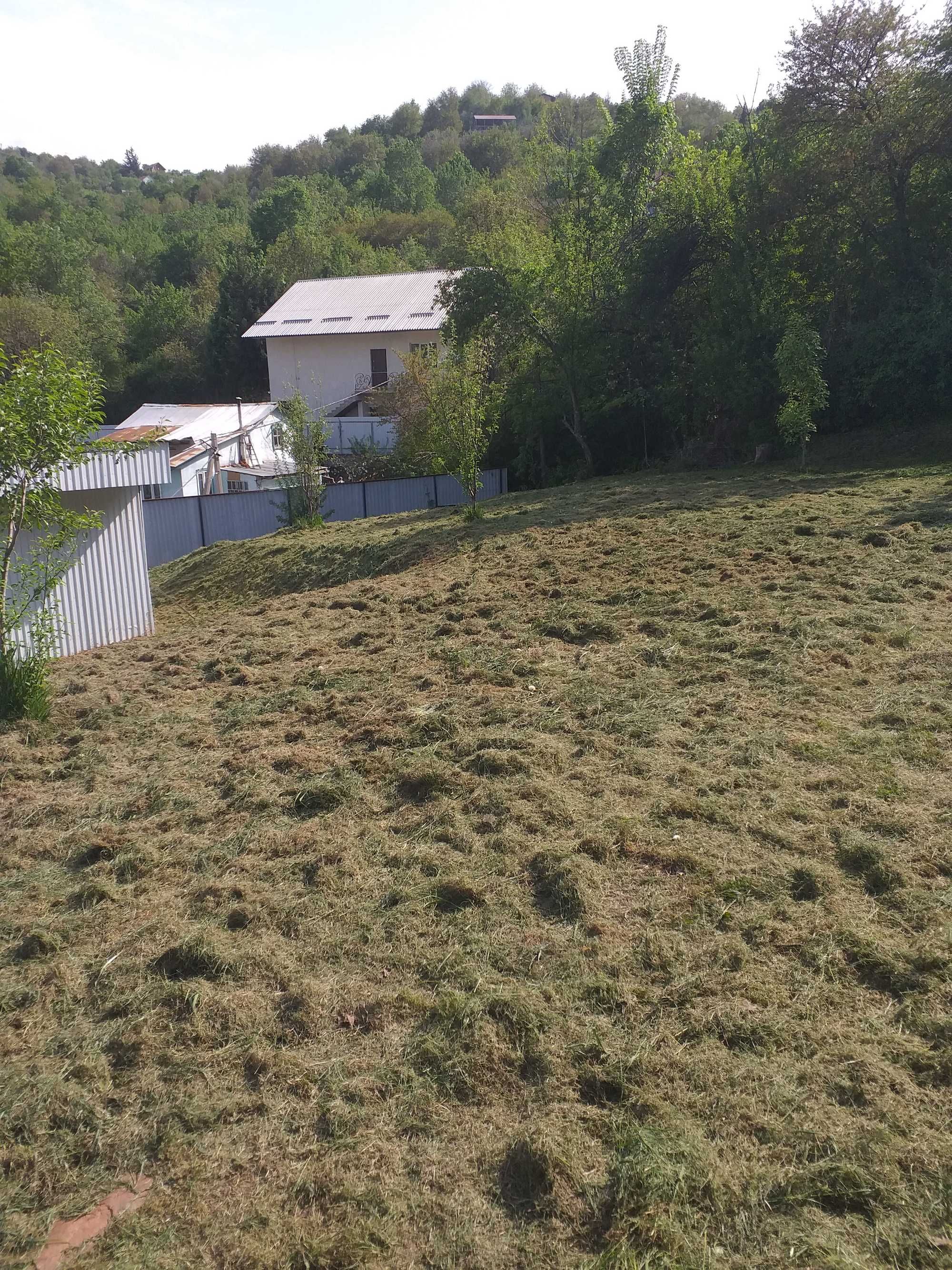 Покос травы, расчистка участка