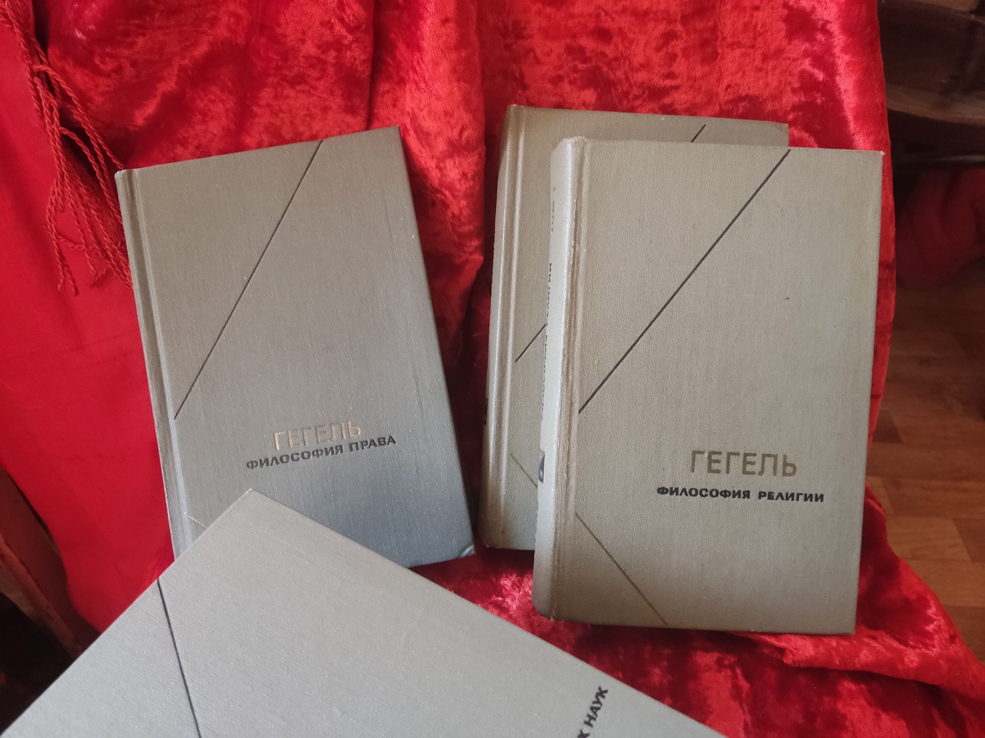 Книги Гегель Энциклопедия философских наук и другие.