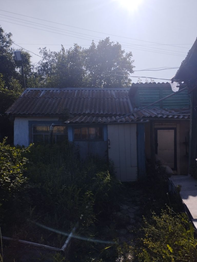 Продам дом в Боровом